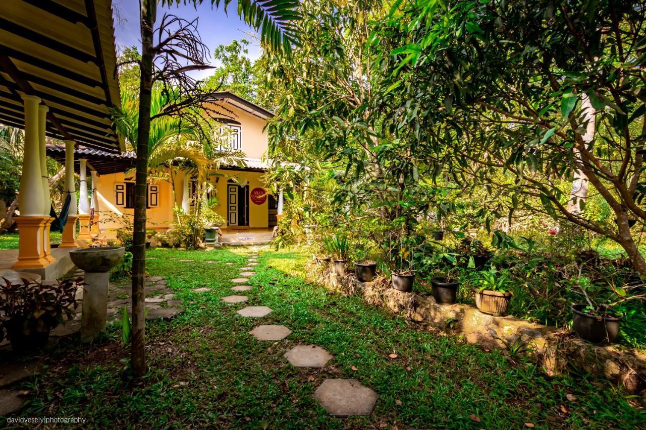 Coconut Villa Midigama-Est Extérieur photo