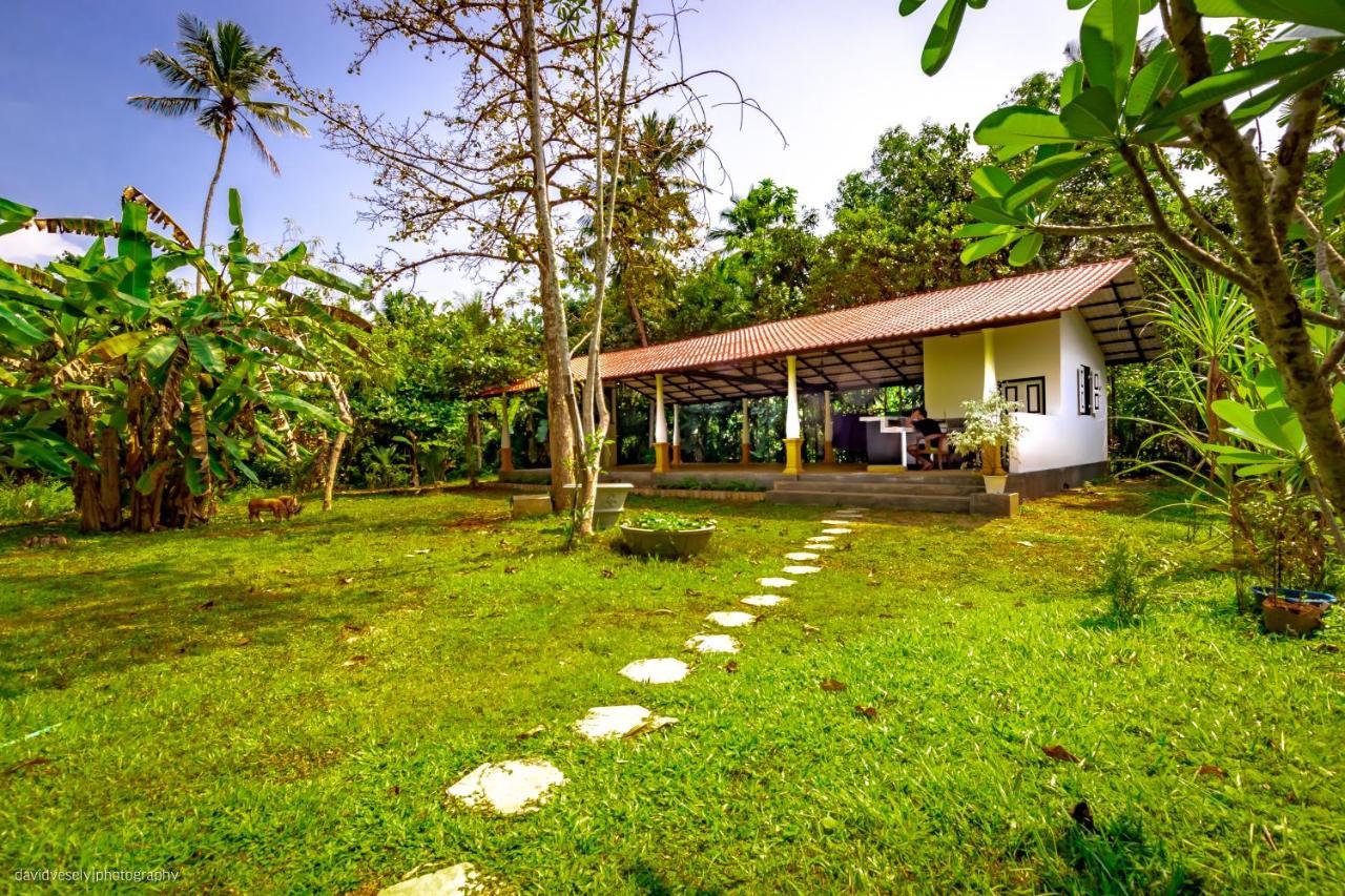 Coconut Villa Midigama-Est Extérieur photo